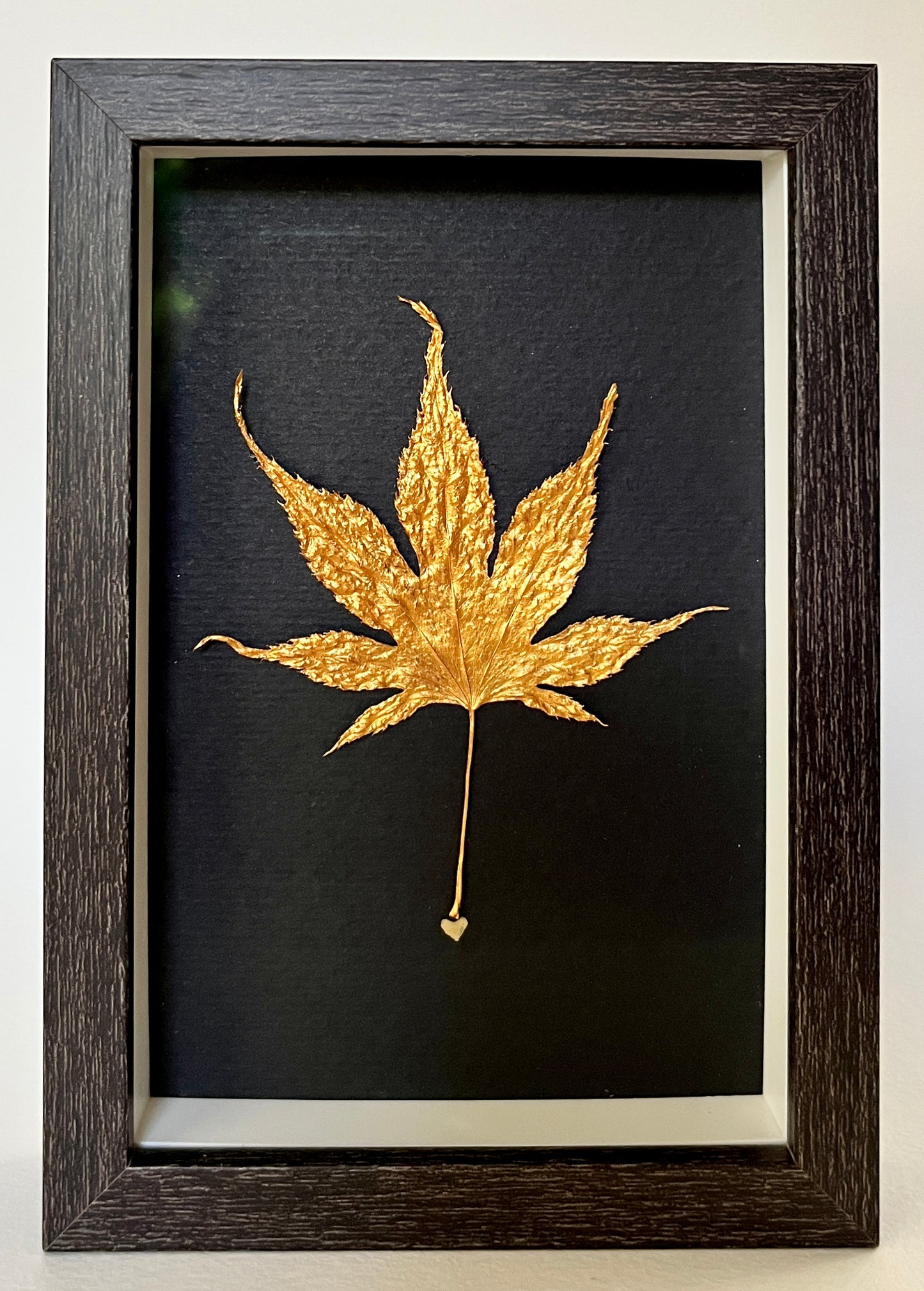 Leaves 11