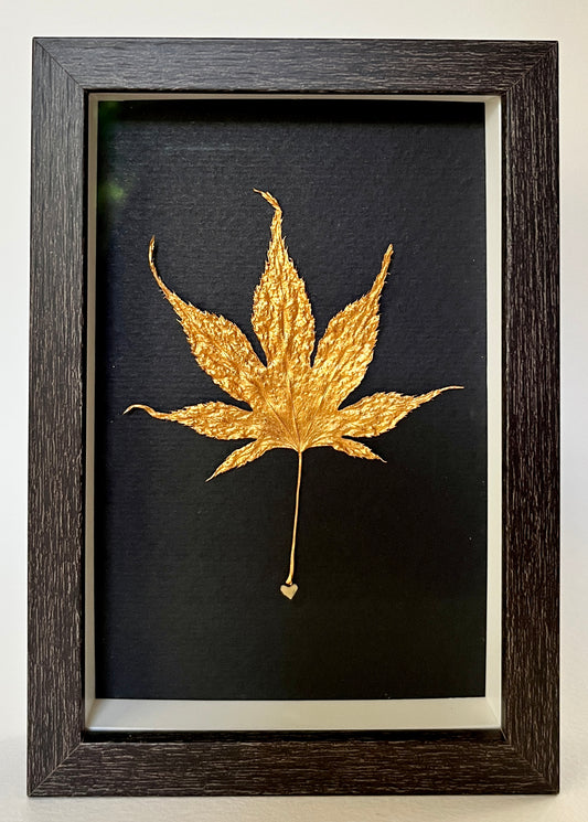 Leaves 11