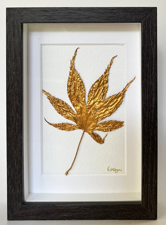 Leaves 13